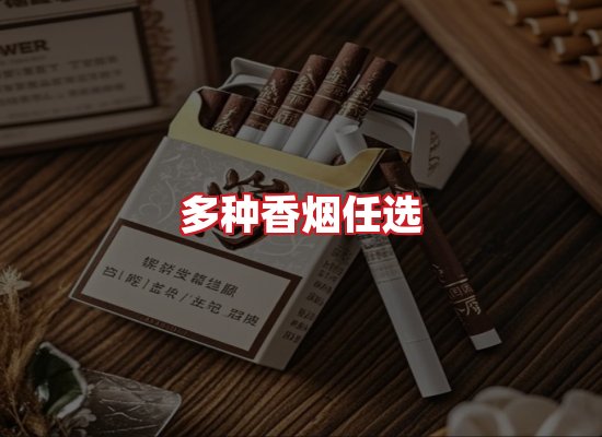 专业团队